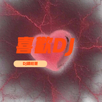 DJ铁柱 - 喜欢(DJ铁柱版)