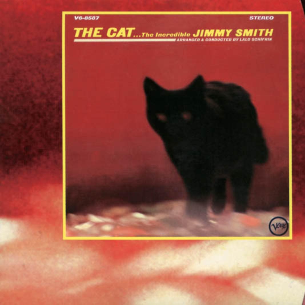 The Cat
