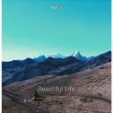 Beautiful Life ( Original Mix )
