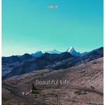 Beautiful Life ( Original Mix )专辑