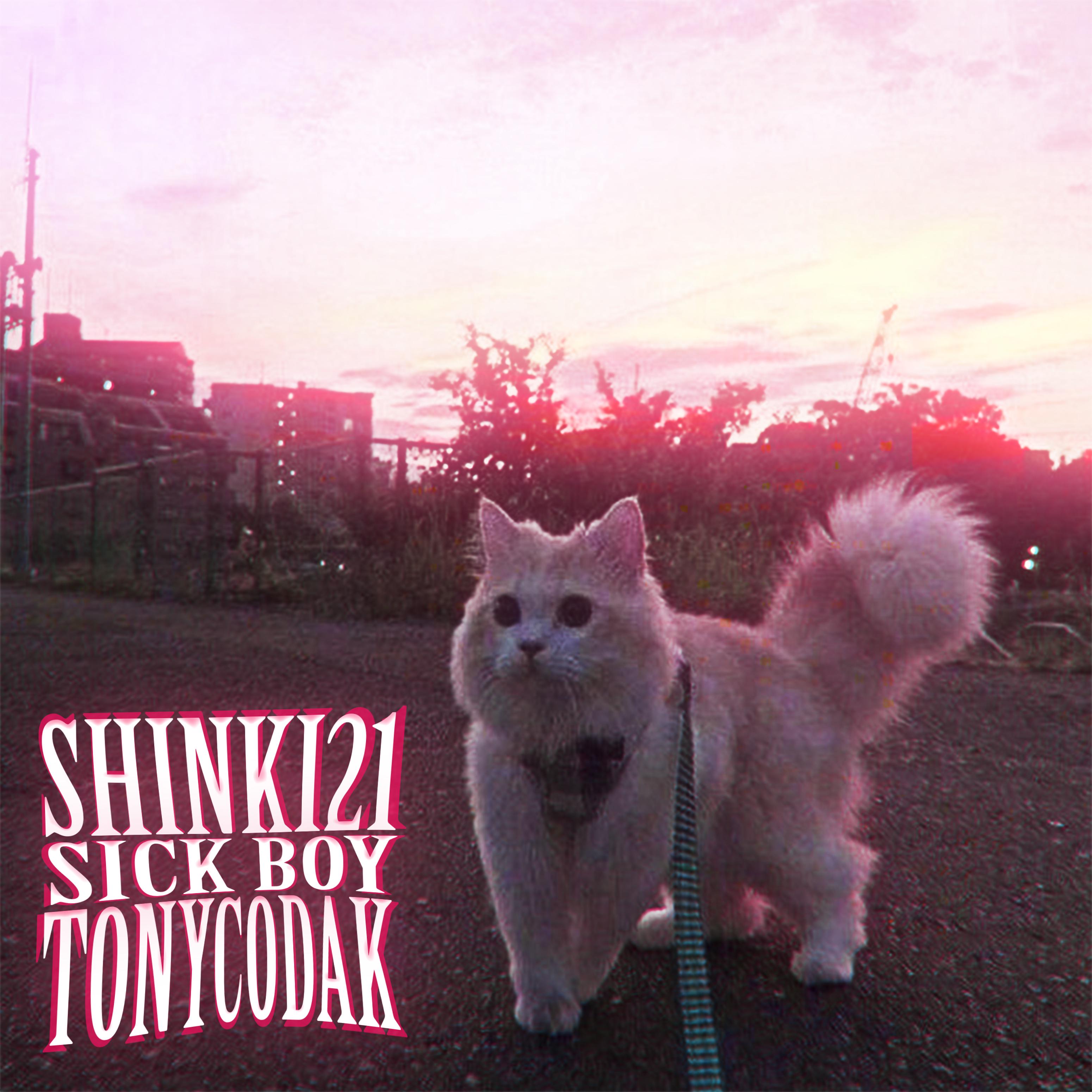 shinki21 - Sick Boy (Remix)