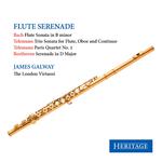 Trio Sonata for Flute, Oboe and Continuo in E Minor, TWV 42e2: III. Dolce