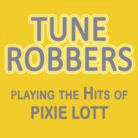 Pixie Lott - When Love Takes Over (karaoke Version)