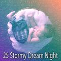 25 Stormy Dream Night