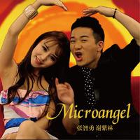 张智勇、谢紫林 - Microangel