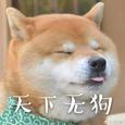 天下无狗