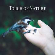 Touch of Nature - Relaxing Music for Spa