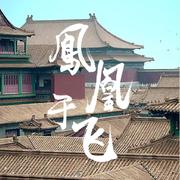 凤凰于飞