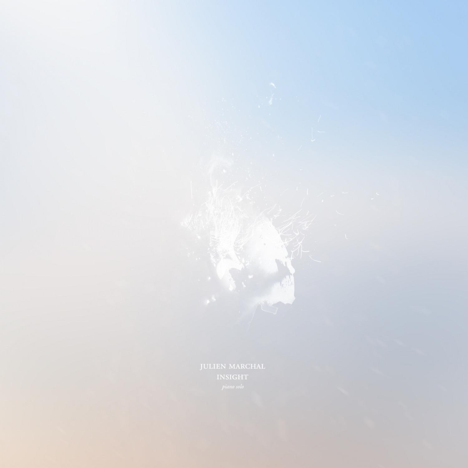 Insight I～XLIII