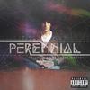 Perennial - Kill Your Demons