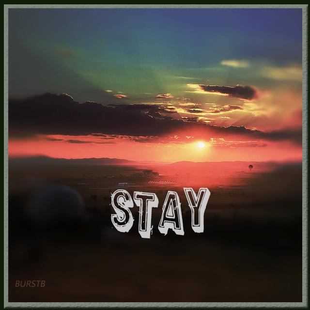 Stay（ed）专辑