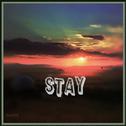 Stay（ed）专辑