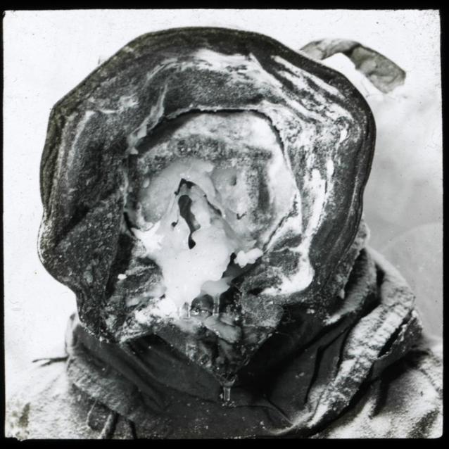 Arctic Nomad