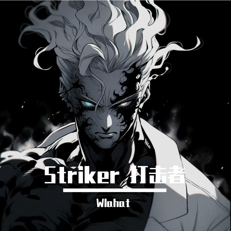 Striker 打击者