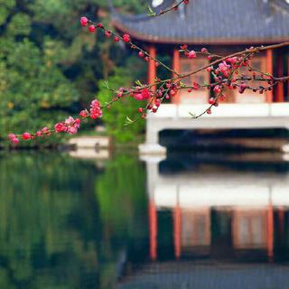 【中国风】梦里长安，雨里江南