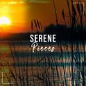 #17 Serene Pieces for Meditation and Yoga专辑