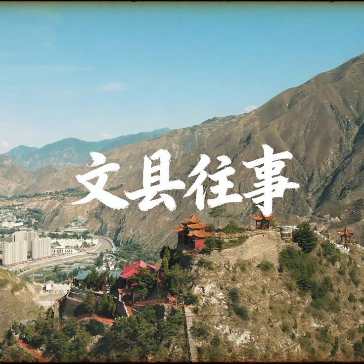 文县人上人