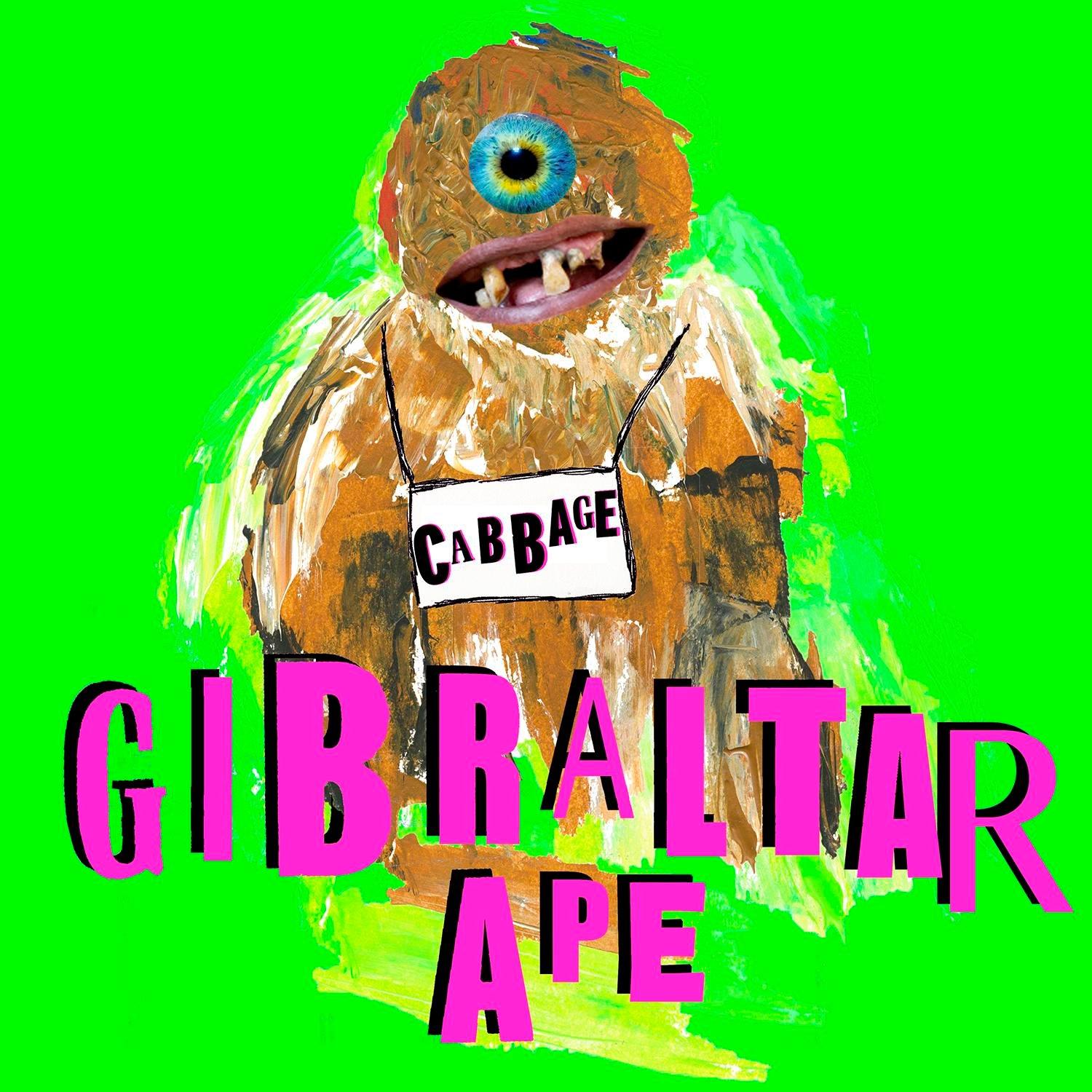 Gibraltar Ape