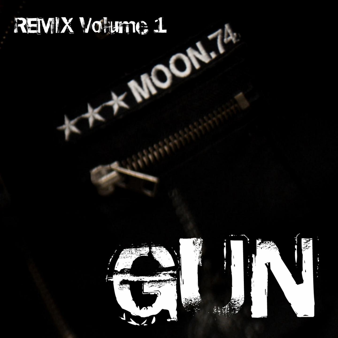 Gun