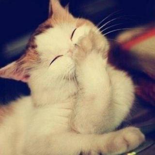 「欧美」忧愁变喜乐|开启蹦跶模式