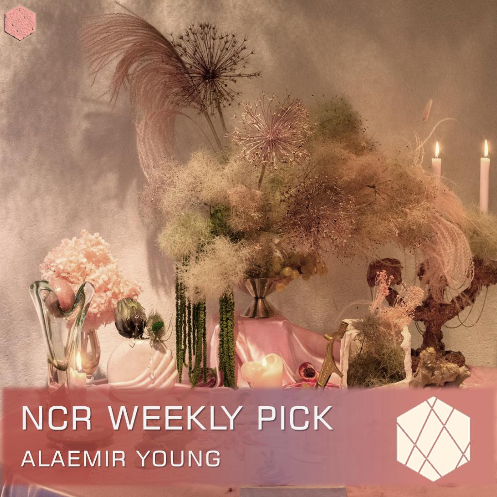 【停更至高考】NCR Weekly Pick