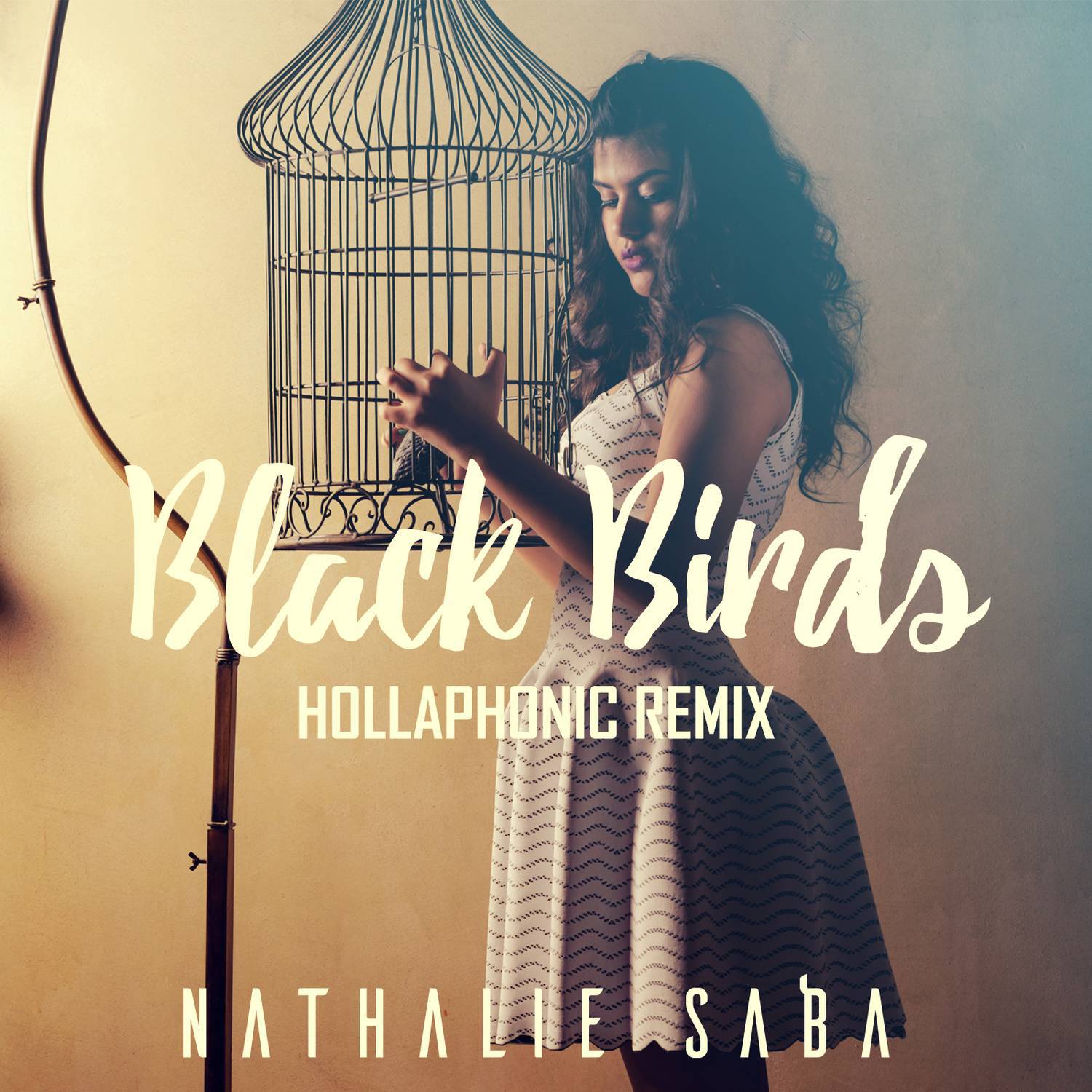 Black Birds (Hollaphonic Remix)专辑