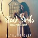 Black Birds (Hollaphonic Remix)专辑