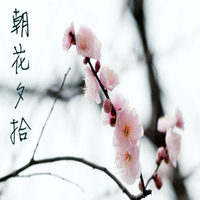 [DJ节目]一米阳光音乐台的DJ节目 第2120期