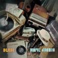 Vinyl Junkie