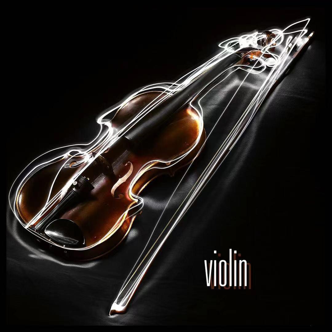 Violin