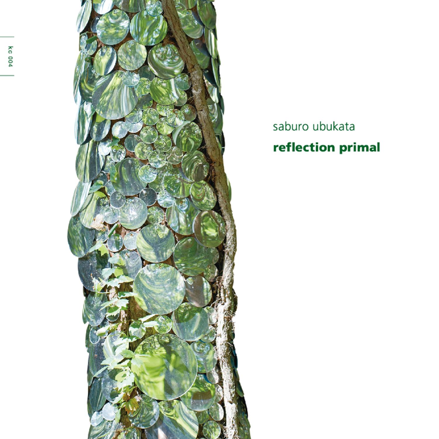 reflection primal