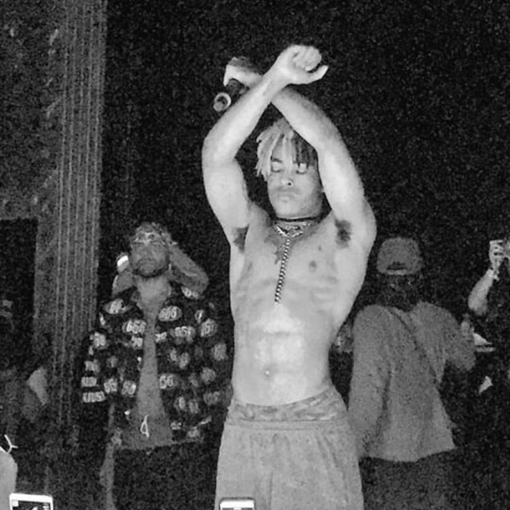 R.I.P X（持续更新） | 在线播放 | 网易云音乐