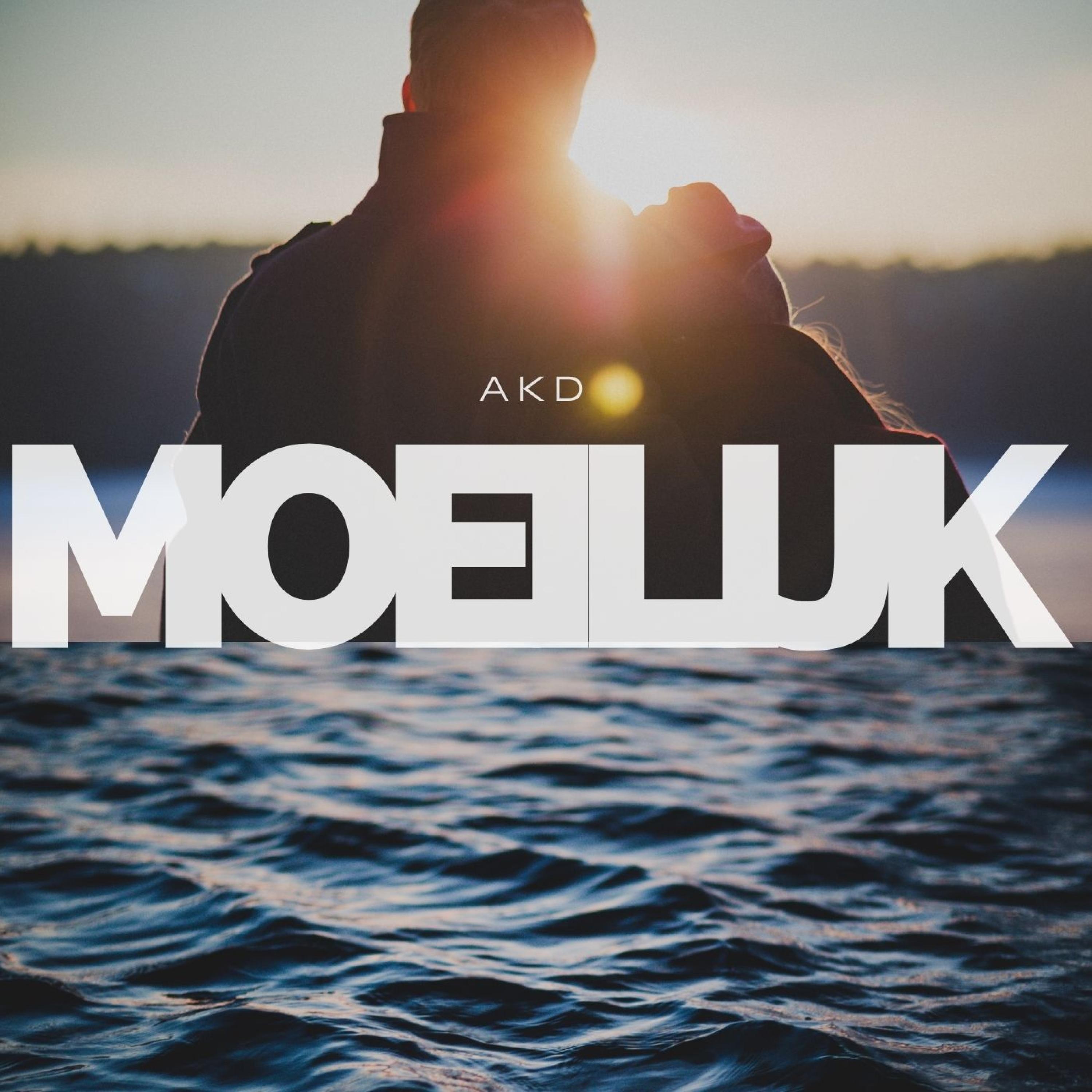Moeilijk