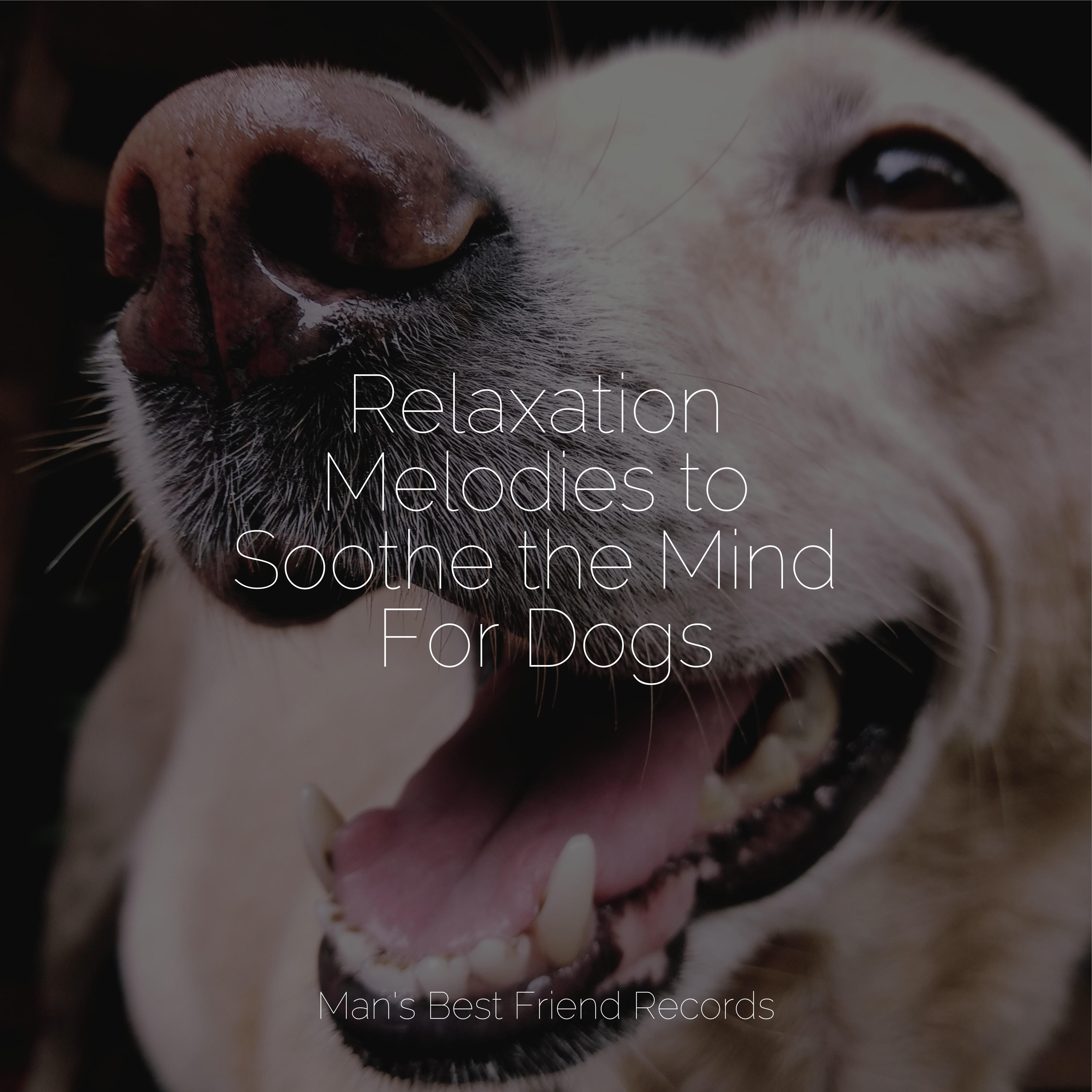 Music For Dogs Peace - A Time for Relaxation