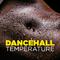 Dancehall Temperature专辑