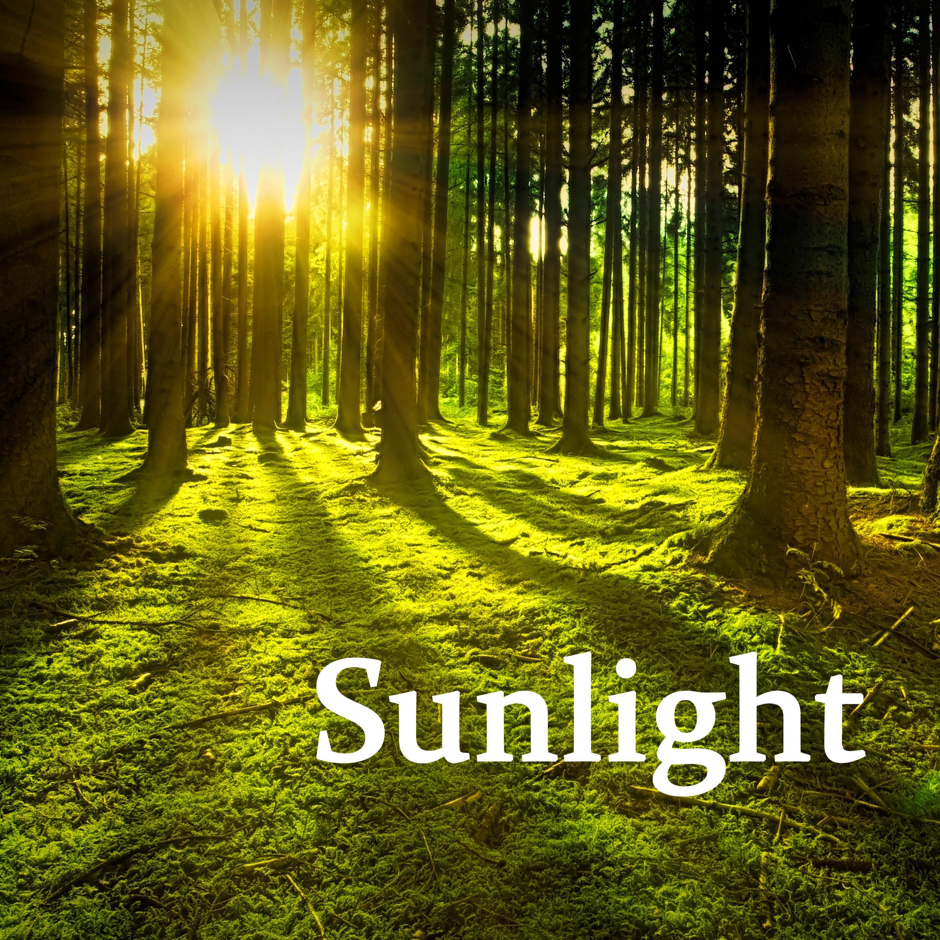 Sunlight