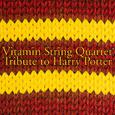 Vitamin String Quartet's Tribute to Harry Potter