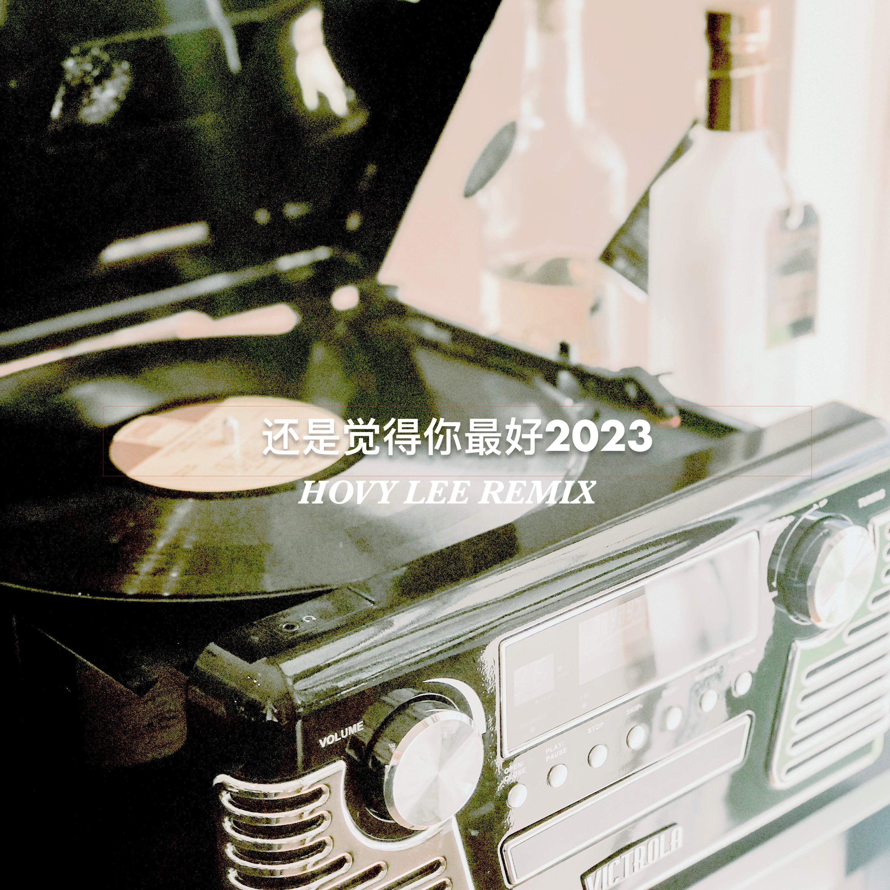 还是觉得你最好2023（Hovy Lee remix）