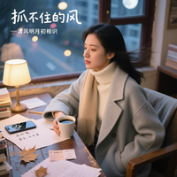 抓不住的风