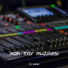 xoh toy muzikesi