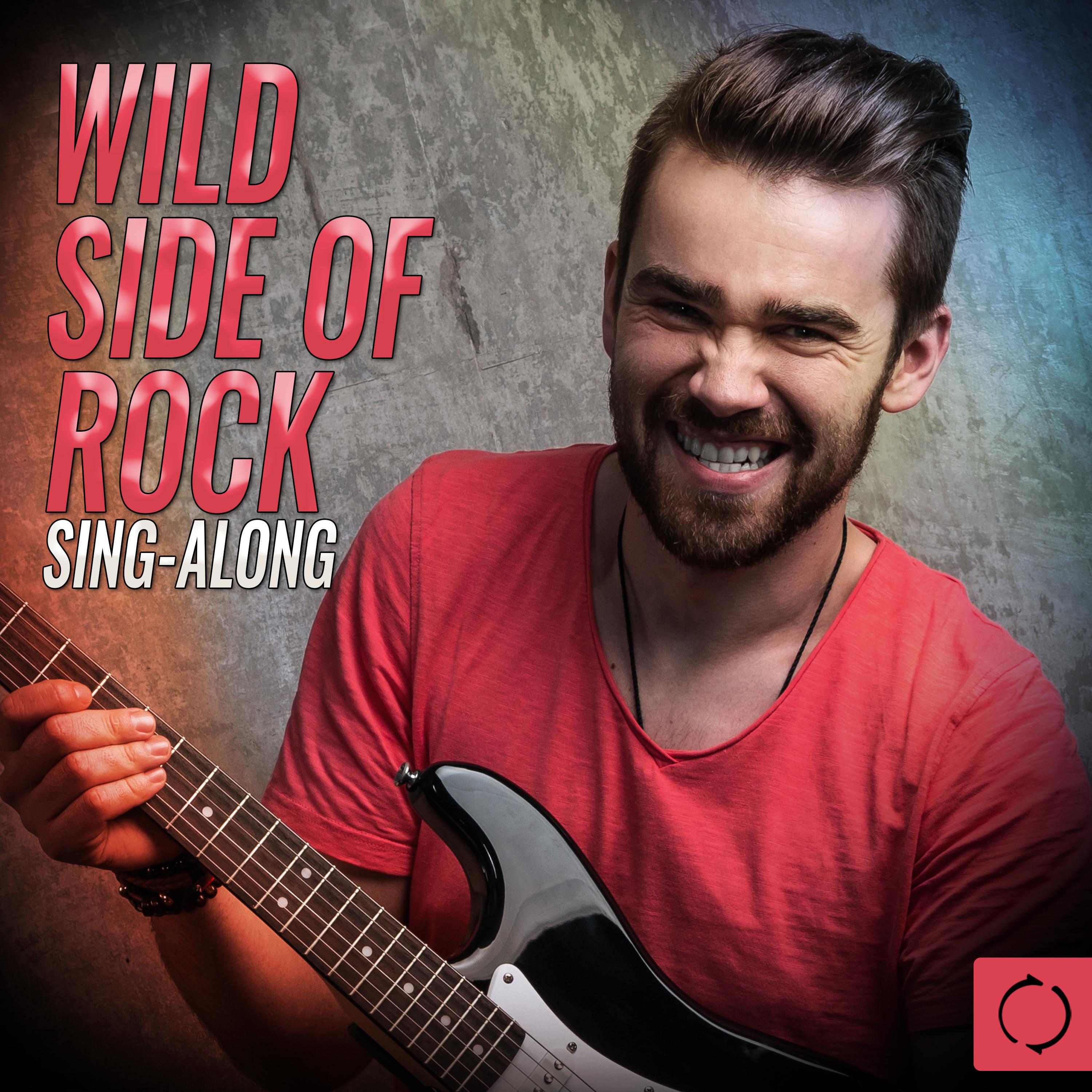 Wild Side of Rock Sing - Along专辑