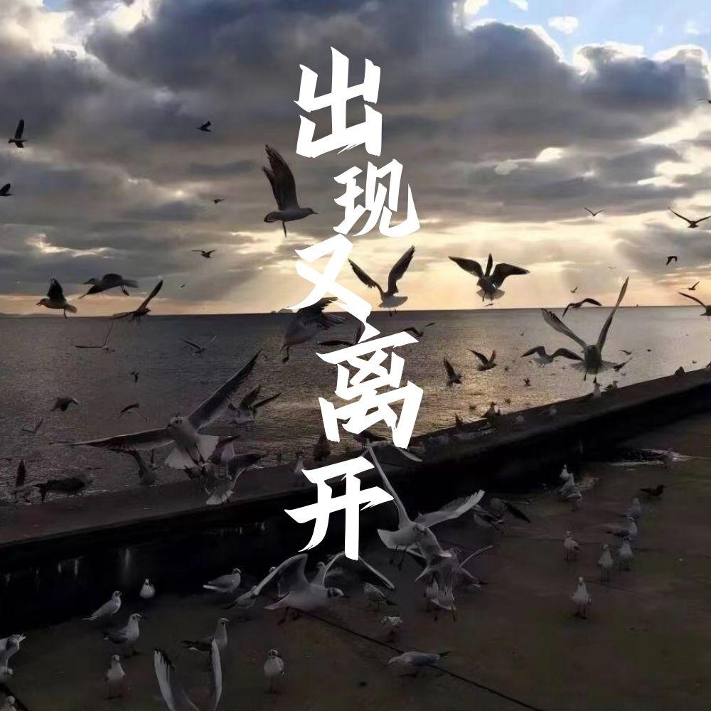 出现又离开