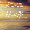 Tribute to Peter Gabriel (Solsbury Hill)专辑