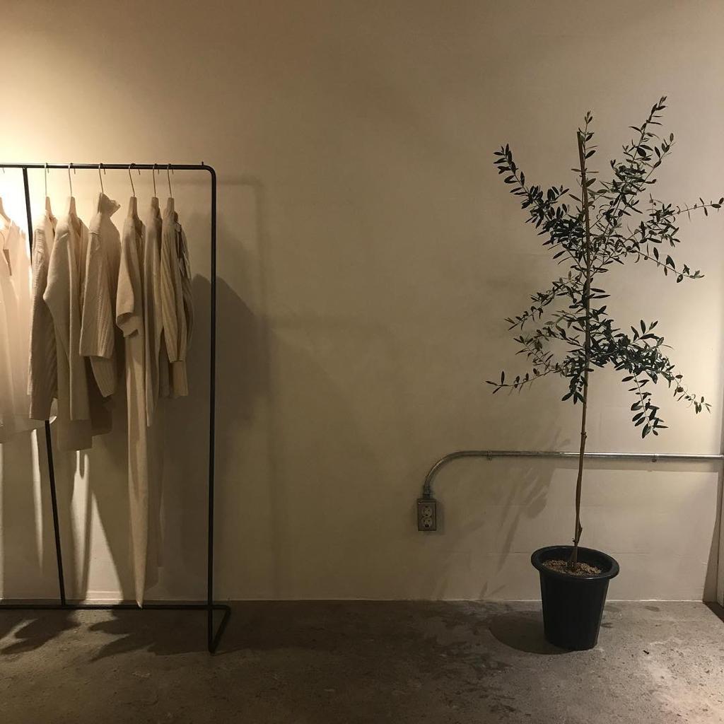 <韩>首尔seoul街角服装店的BGM