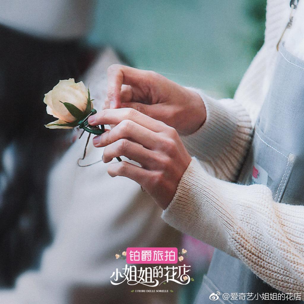 《小姐姐的花店》里好听的BGM!