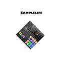 Samplelife