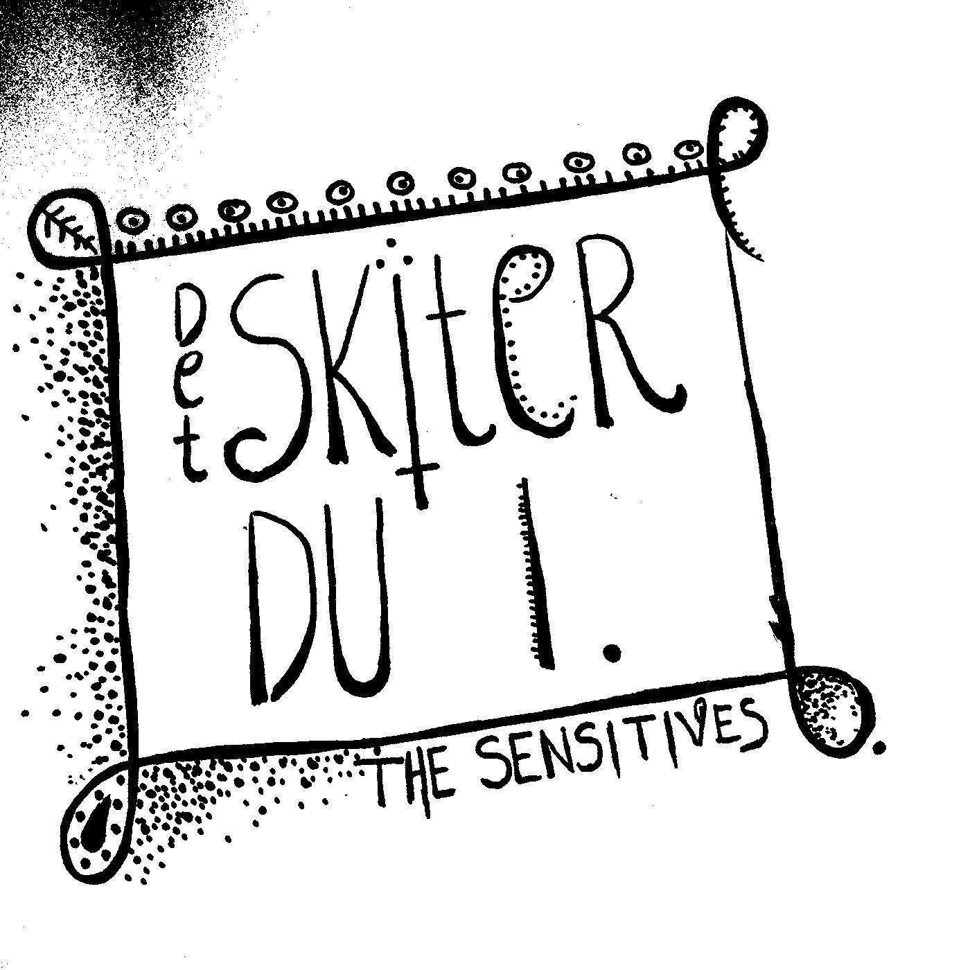Det Skiter Du I