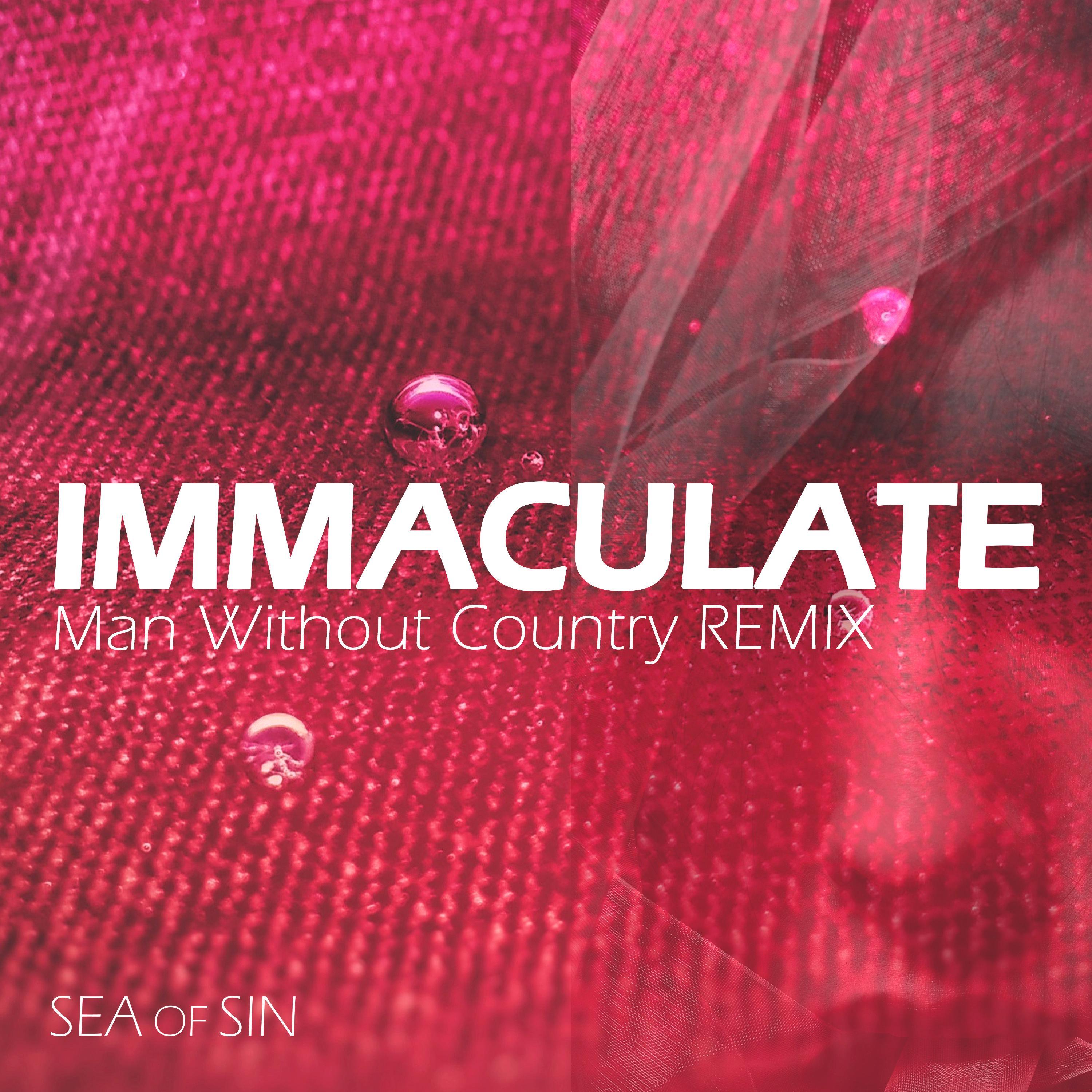 Immaculate (feat. Man Without Country) [Man Without Country Remix]