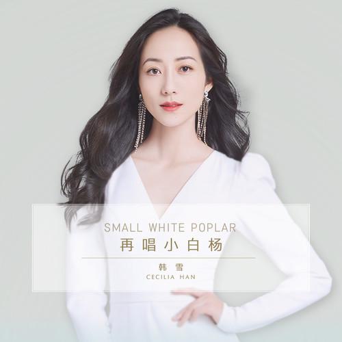 韩雪歌曲封面