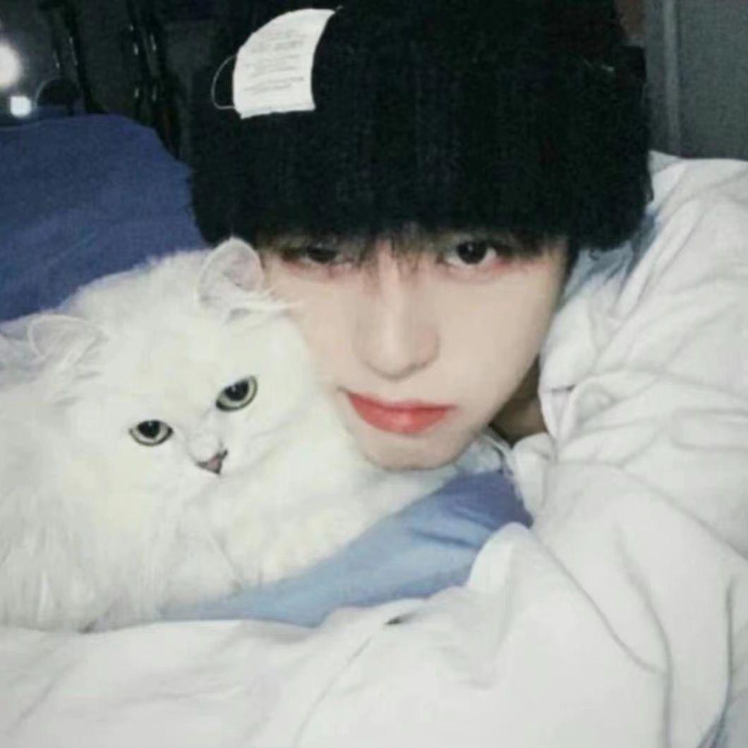 大雾（清纯男高版）